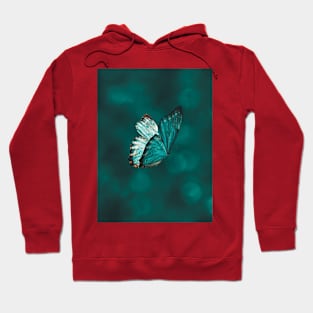 Blue and Black Butterfly Hoodie